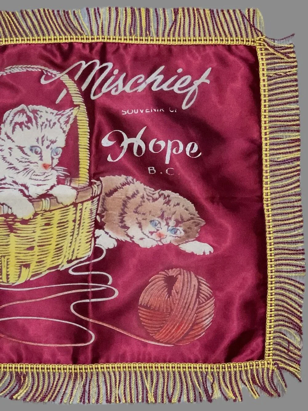 Vintage‎ Hope BC Souvenir Pillow Cover 16